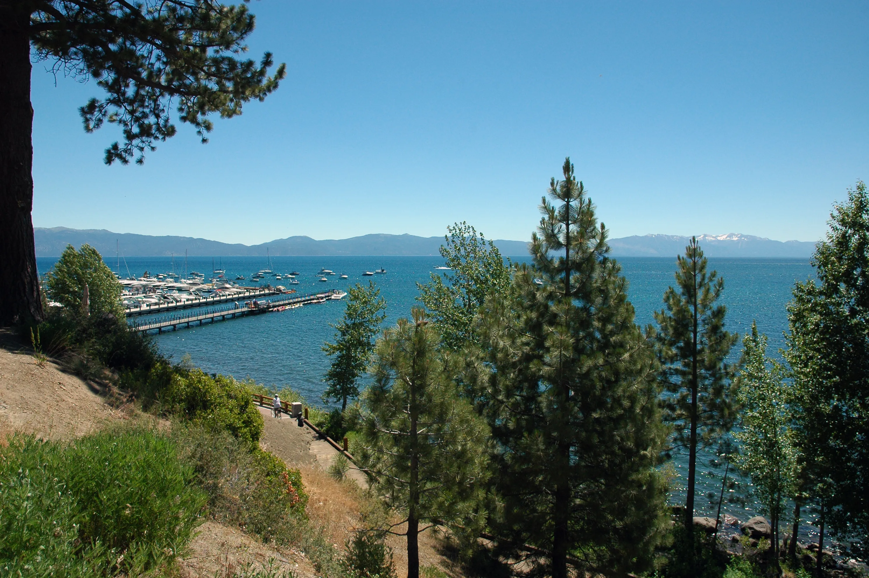 View over Lake Tahoe and the marina from Tahoe City, pines in the foreground